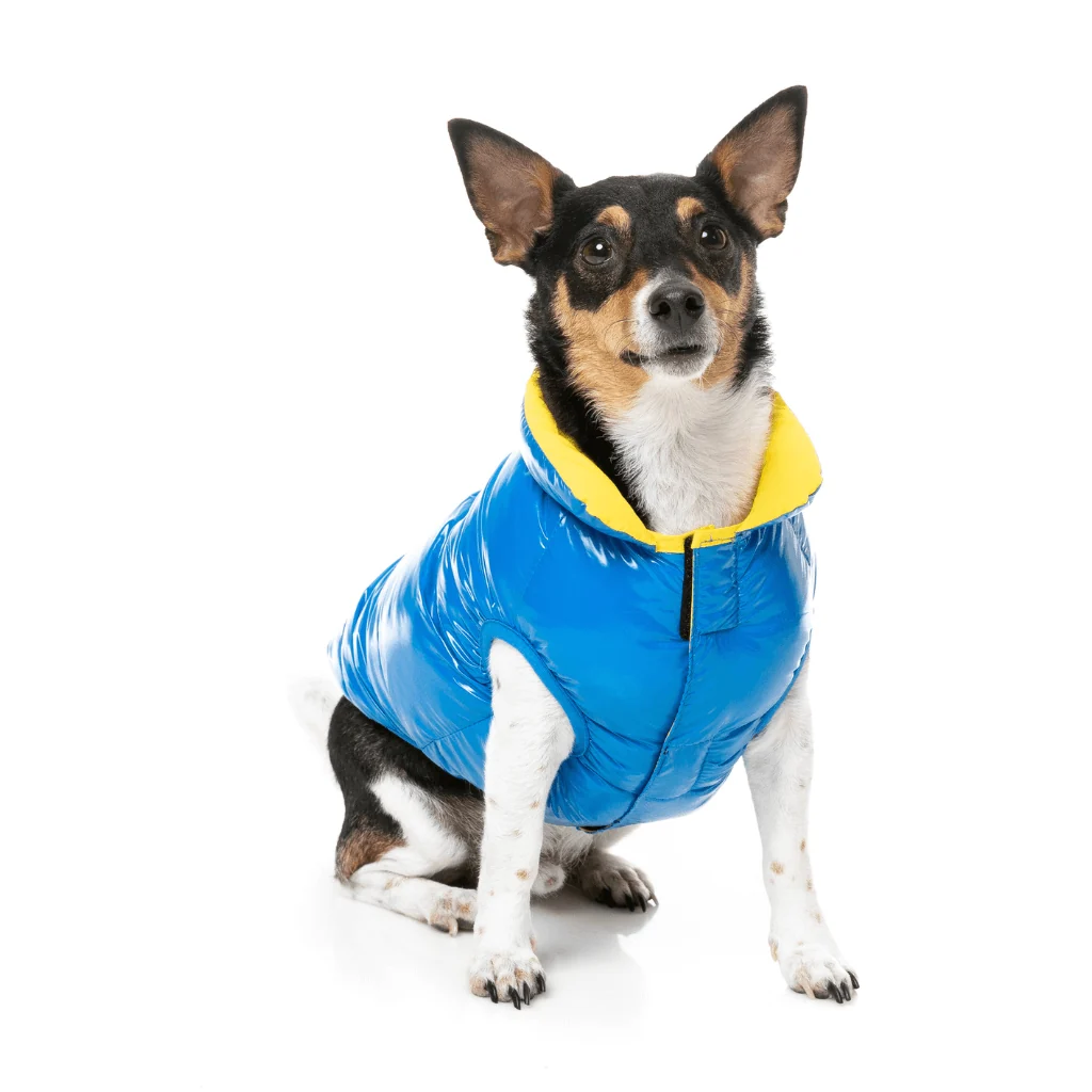 FuzzYard Amor Puffer Jacket | Cobalt Blue | Zimska jakna za pse - Image 3