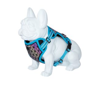 Freedog Boreal – Reflektujući ergonomski am za pse (Plavi)