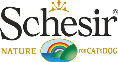 Schesir