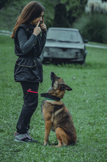Dresura i Obuka Pasa — Budva
