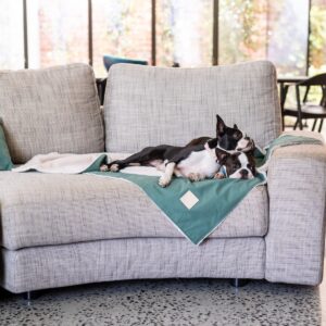 FuzzYard Life Pet Blanket - Myrtle Green
