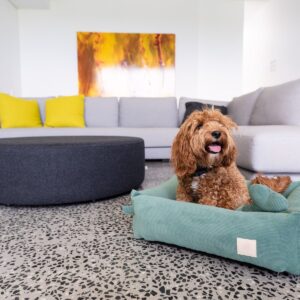 FuzzYard Life Luksuzni Somotski Krevet za Pse – Myrtle Green