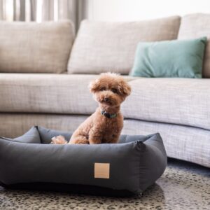 FuzzYard Life – Premium pamučni krevet za pse (Slate Grey)