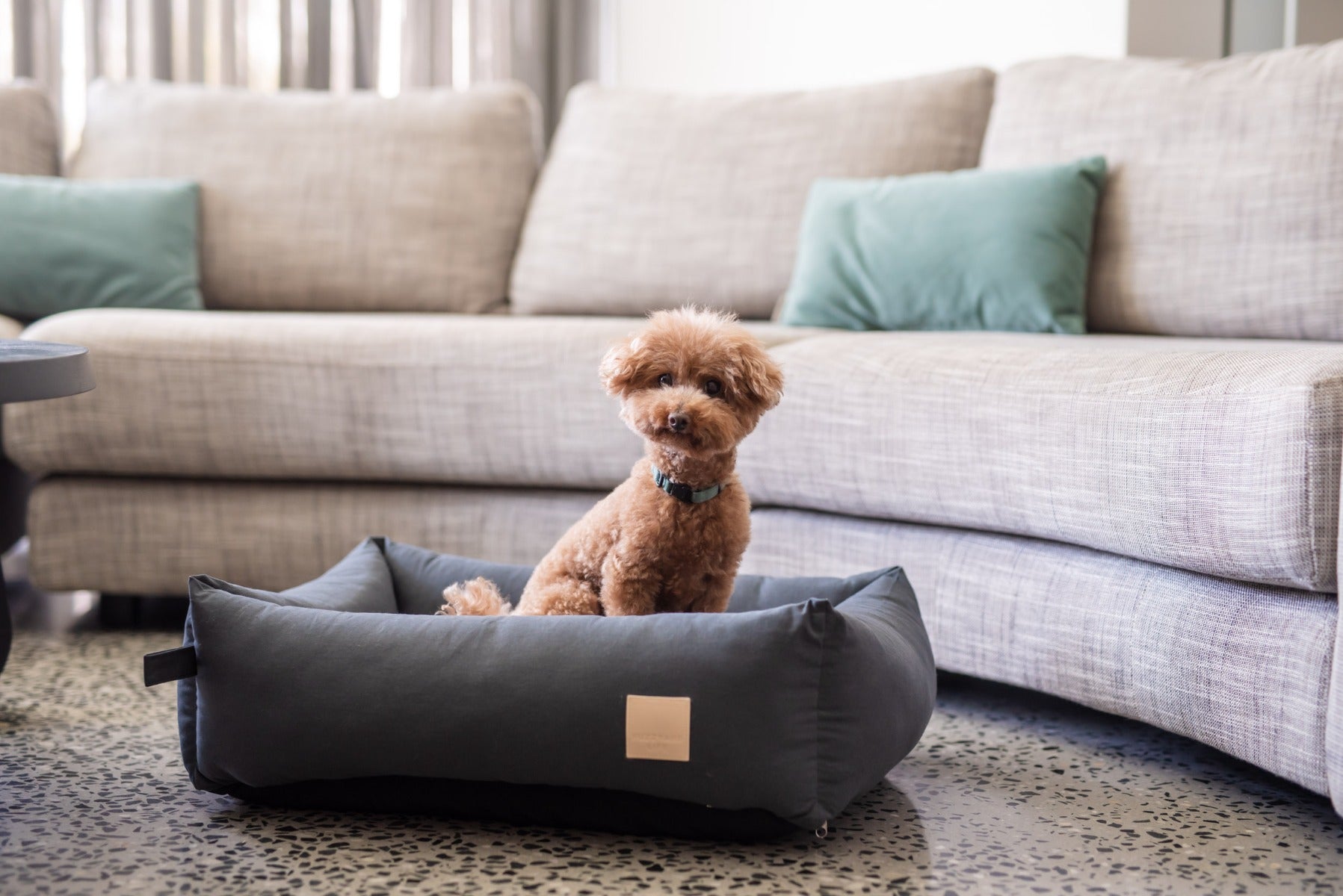 FuzzYard Life – Premium pamučni krevet za pse (Slate Grey)