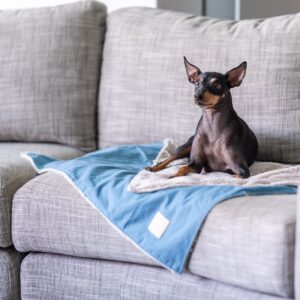 FUZZYARD Life Pet Blanket Dvostrano luksuzno ćebe – French Blue