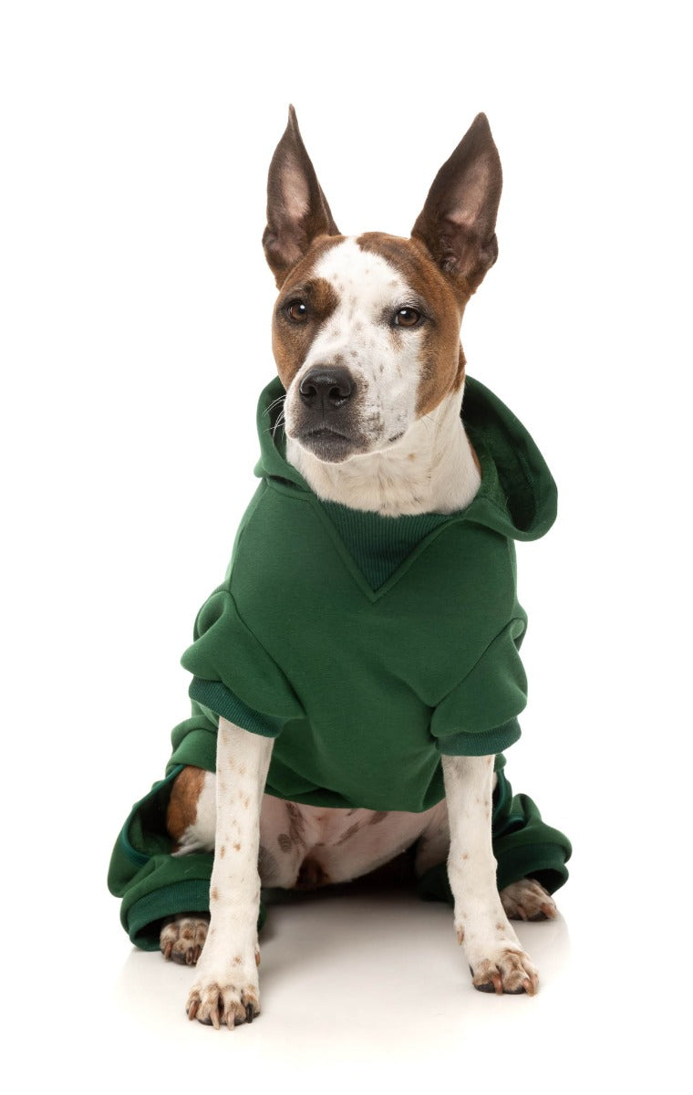FuzzYard Urban Trenerka za Pse – Zelena (Green) - Image 5