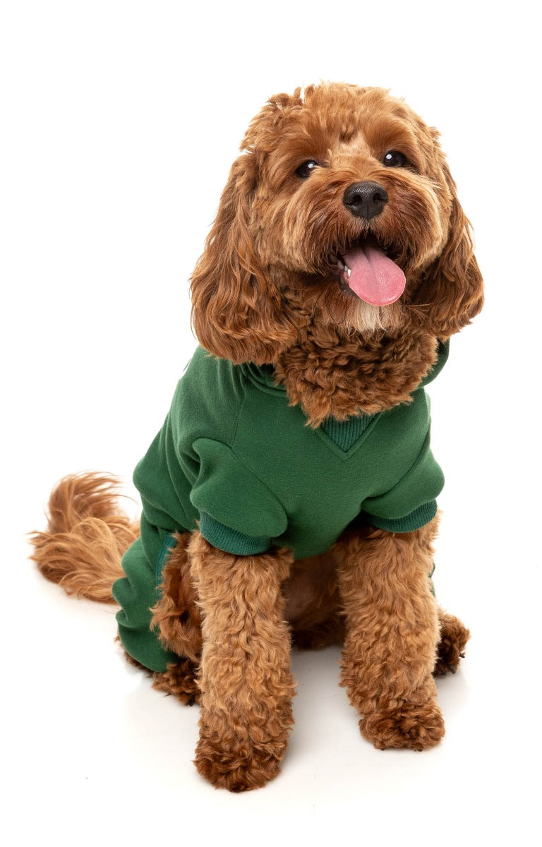 FuzzYard Urban Trenerka za Pse – Zelena (Green) - Image 4