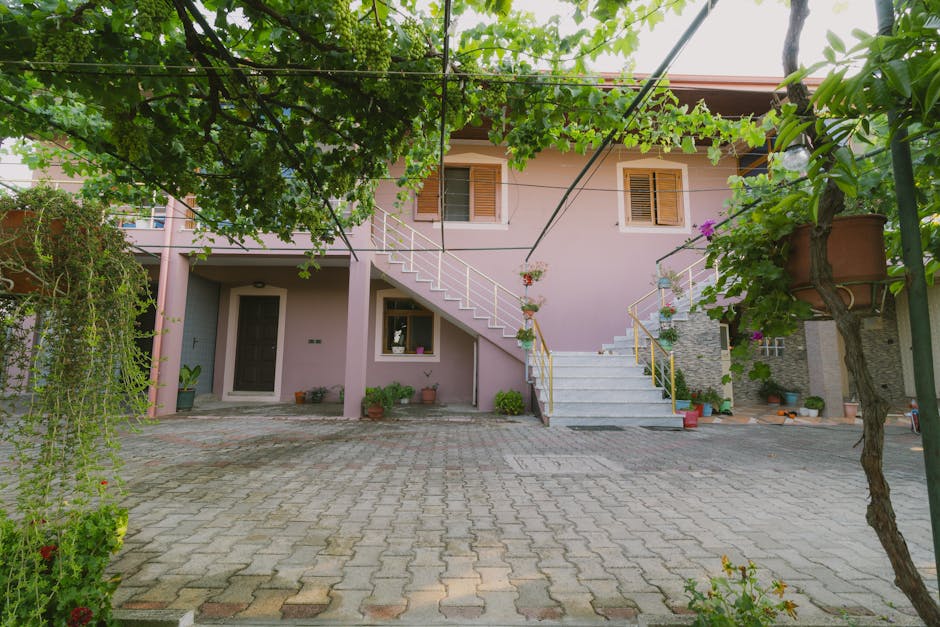 Pansion za Pse i Mačke — Budva