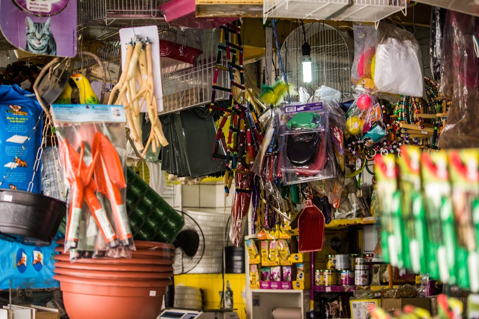 Pet Shop Bar