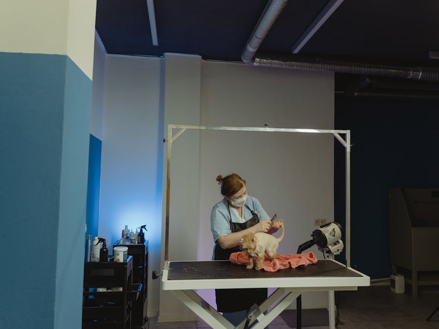 Pet Shop Bijelo Polje