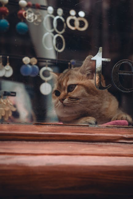 Pet Shop Cetinje