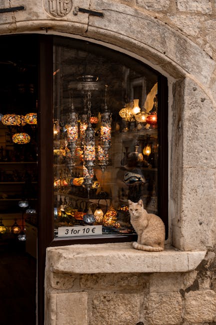 Pet Shop Kotor