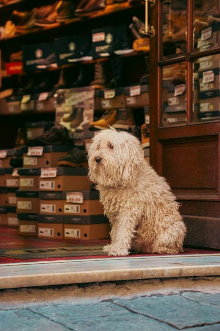 Pet Shop Ulcinj