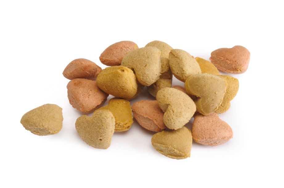 CAMON Biscocat Hrskavi biskviti za mačke – Riža, piletina, losos i spanać, 50 g (AF254) - Image 2