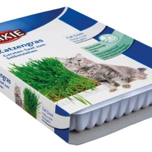 TRIXIE Trava za mačke u posudi, 100 g (4235)