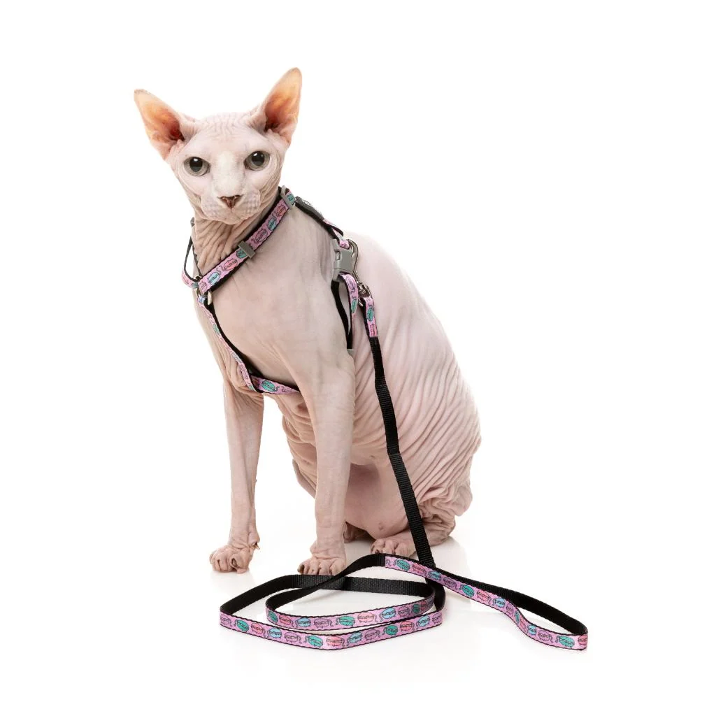 FuzzYard Meowcarons Cat Walking Set – Komplet am i povodac za mačke - Image 2