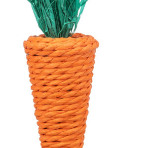 Igračka Carrot za  glodare