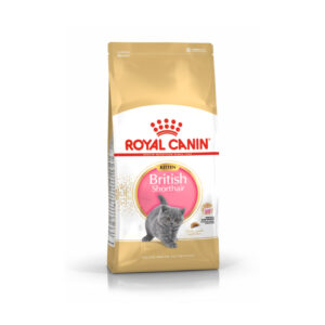 Royal Canin Kitten British Shorthair Suva hrana za mačiće, granulirana 2kg
