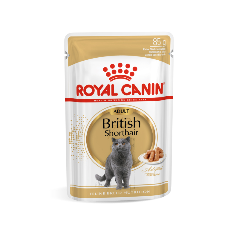 Royal Canin British Shorthair Adult Vlažna hrana za mačke u sosu (Gravy), 85g