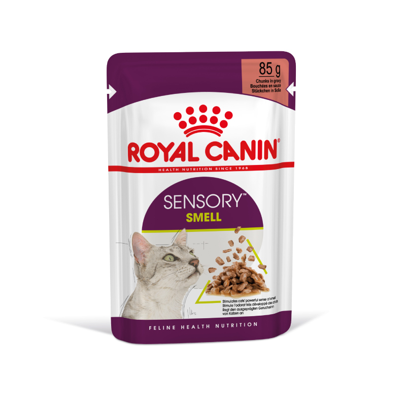 Royal Canin Sensory Smell u umaku 85g – Vlažna hrana za izbirljive odrasle mačke